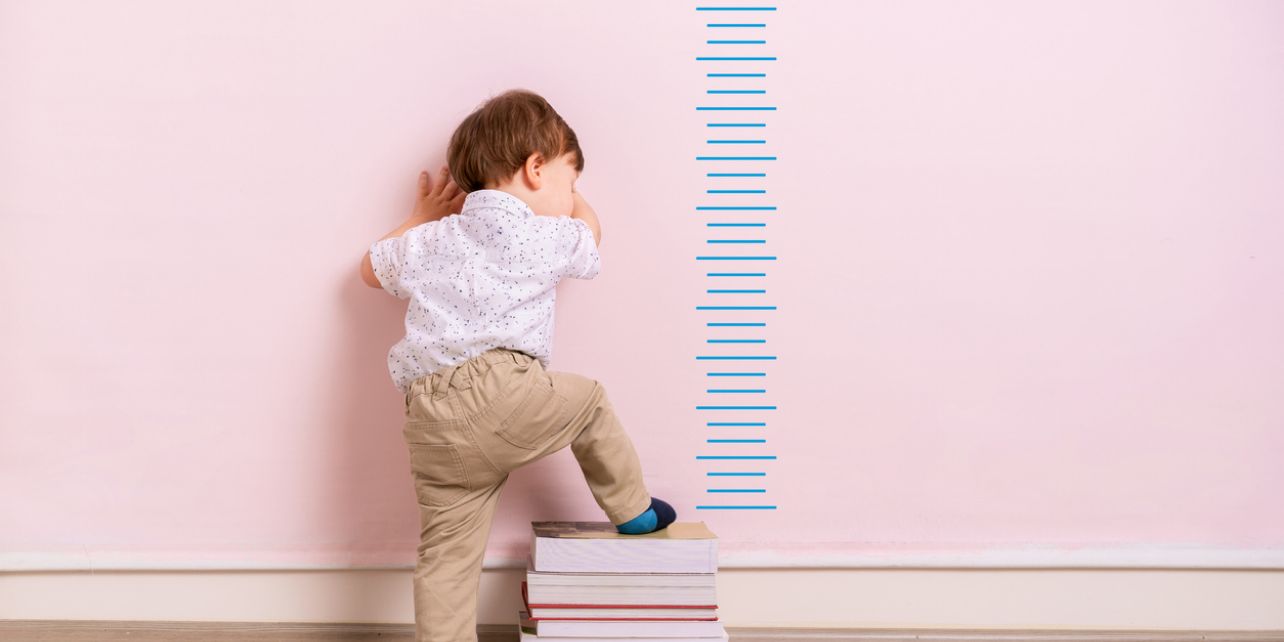 New Price Highs Amid Softer Demand and Improved Buyer Conditions