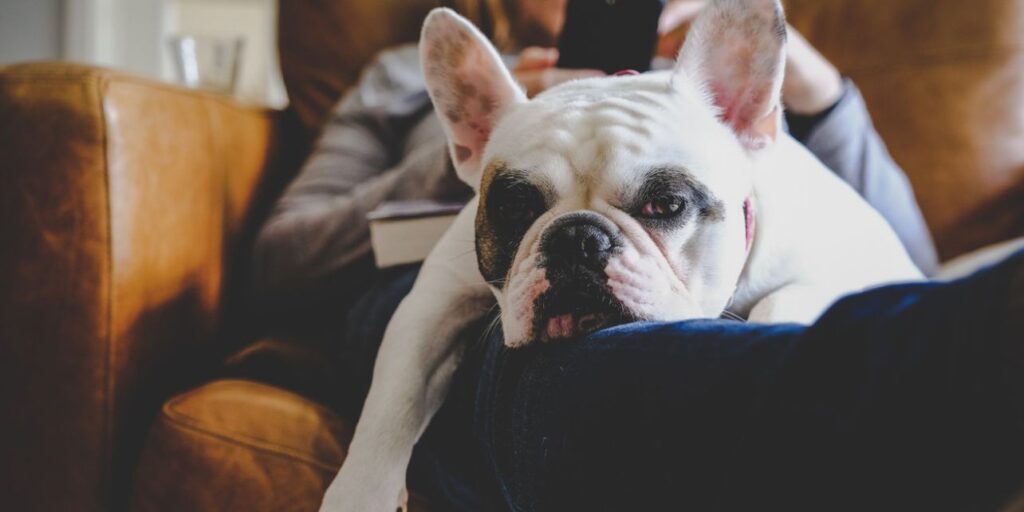 UK Housing Market Makes Steady Progress