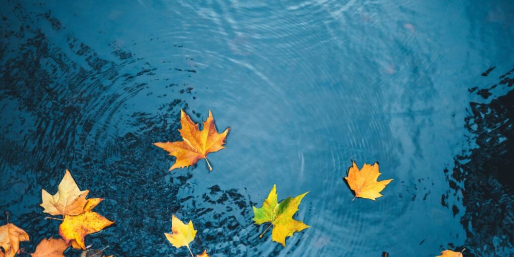 UK Rental Market Settles