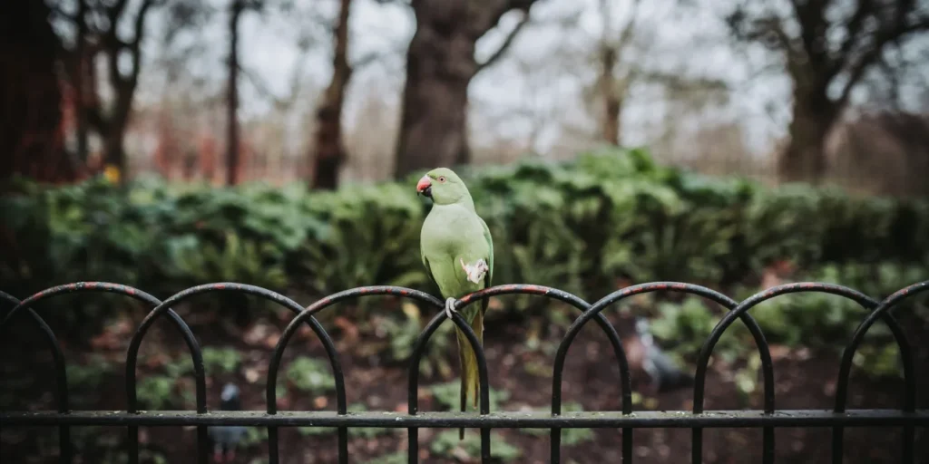 FCA Mortgage Reforms: Positive News for St John's Wood Property Buyers