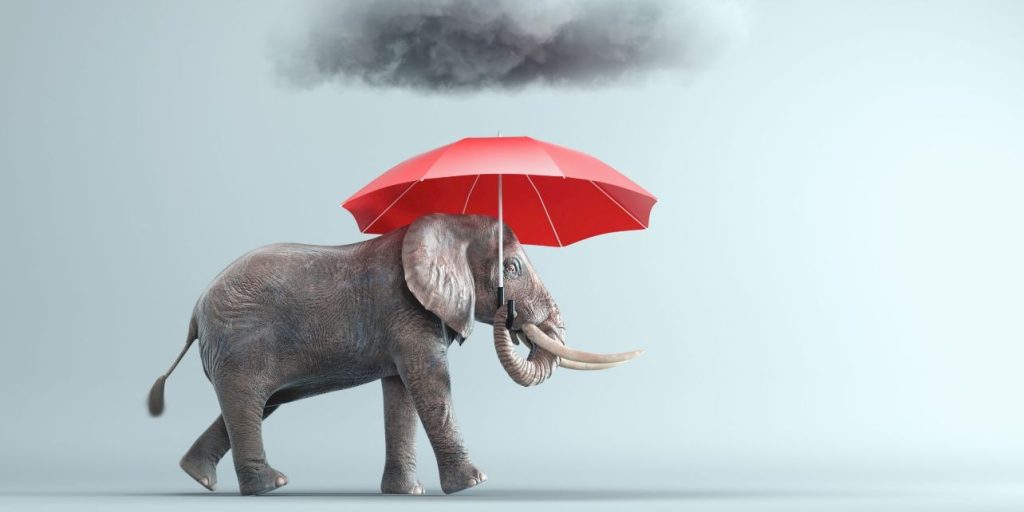 Thousands rush to complete before stamp duty deadline